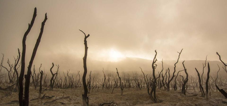 Complete Guide to Cappadocia